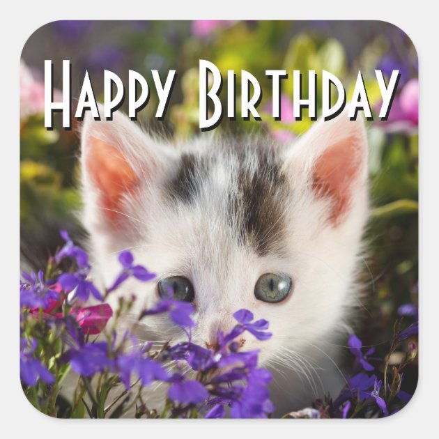 Happy Birthday Kitten Square Sticker